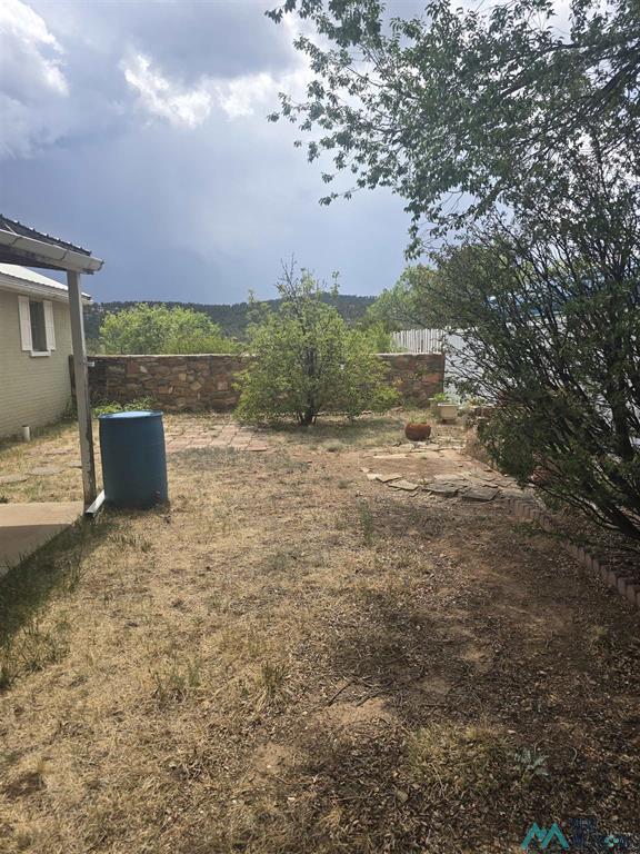 3316 Camino Linda photo 6