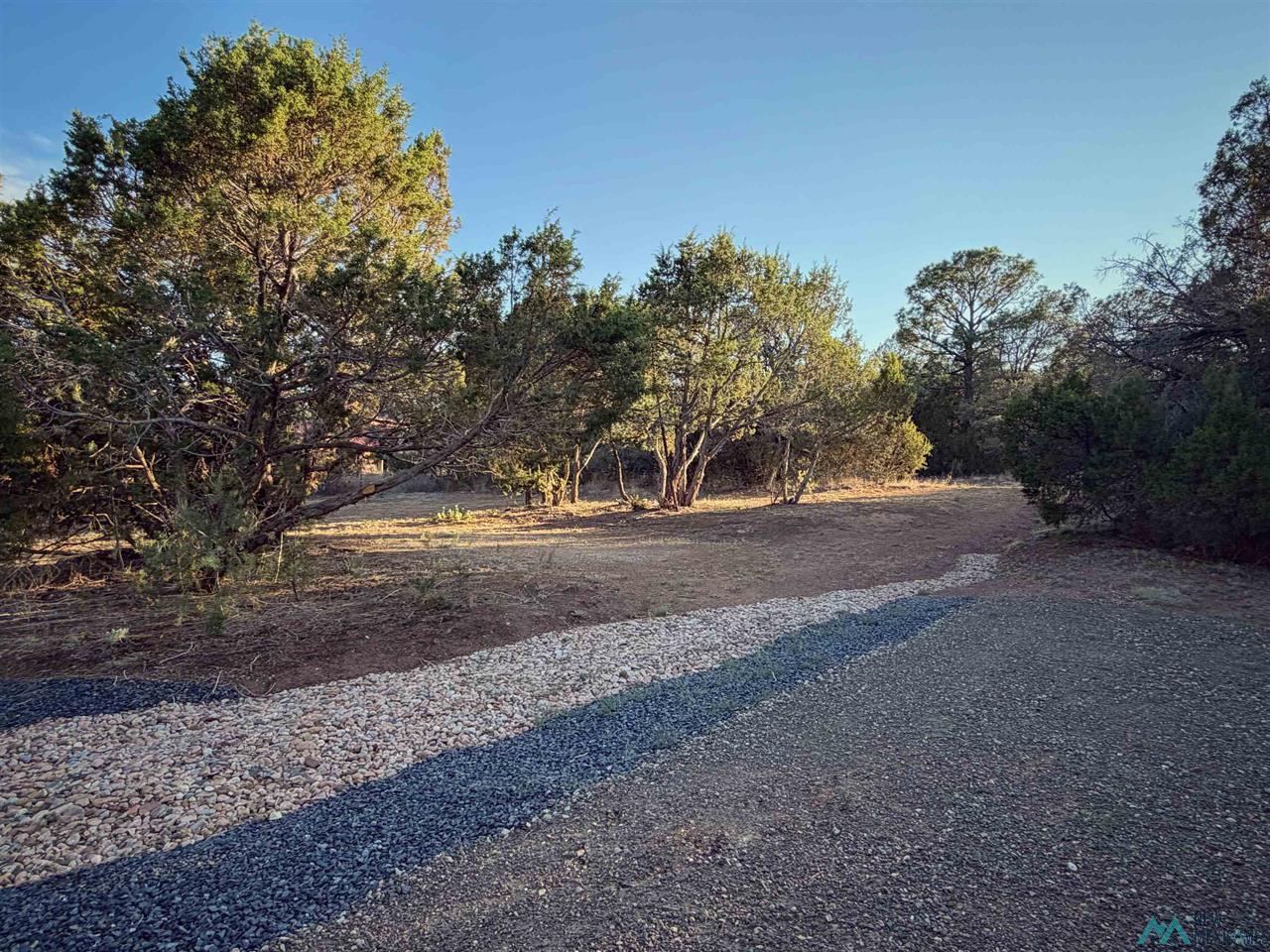 117 Mira Sol Rd photo 27