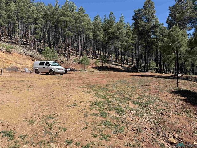 17 Pine Tree Rd photo 21