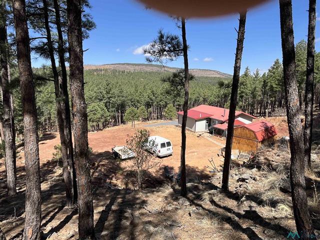 17 Pine Tree Rd photo 26