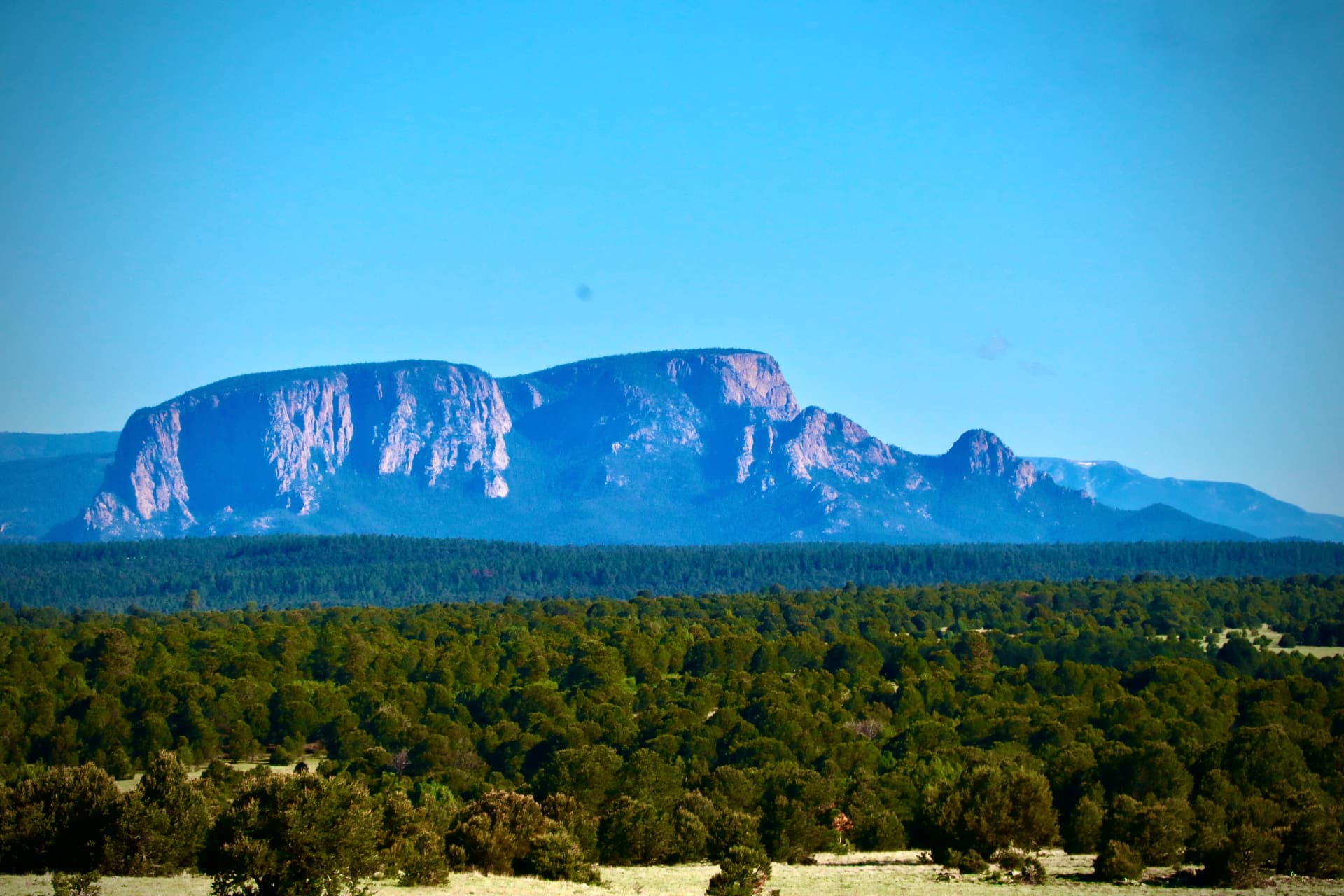 Open high-desert ranchland with pine forests and a flat-topped mesa near Las Vegas, New Mexico