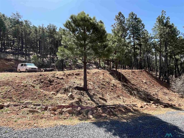17 Pine Tree Rd photo 22