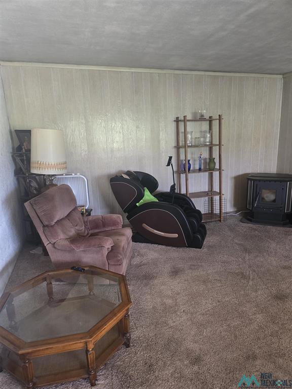 3316 Camino Linda photo 10