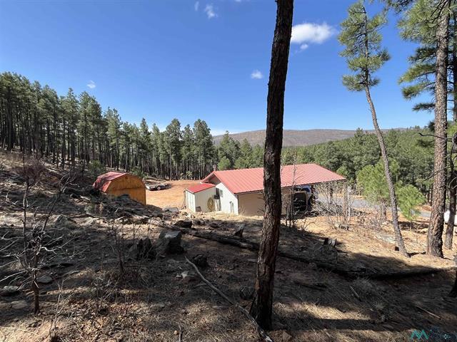17 Pine Tree Rd photo 28