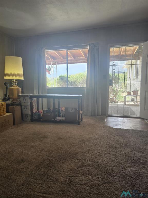3316 Camino Linda photo 15