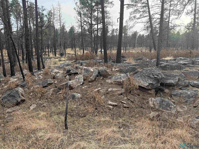 5.28 Acres Cabo Lucero Rd