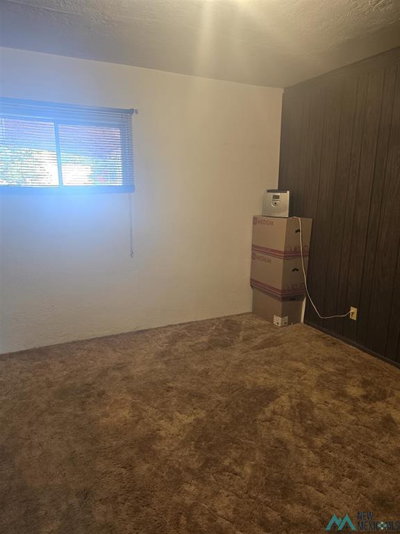 3316 Camino Linda photo 20