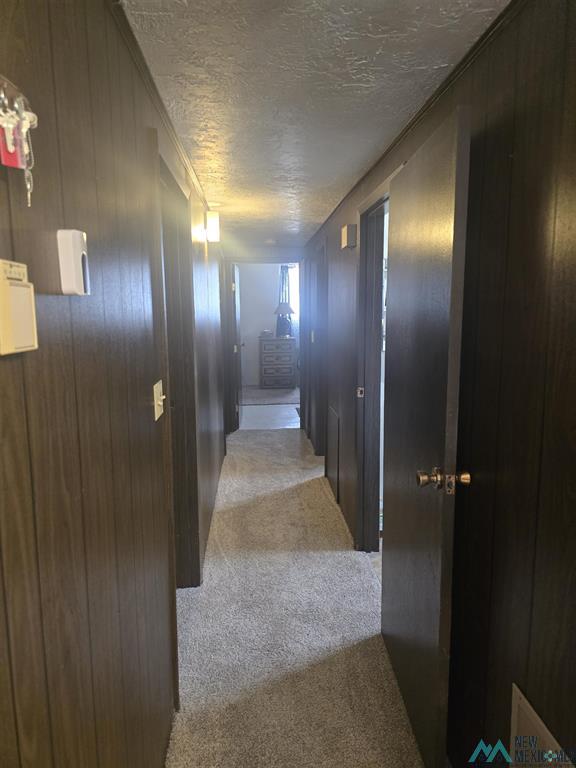 3316 Camino Linda photo 19